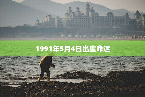 1991年5月4日出生命运