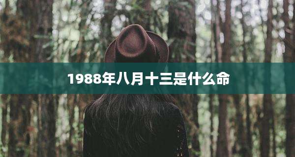 1988年八月十三是什么命