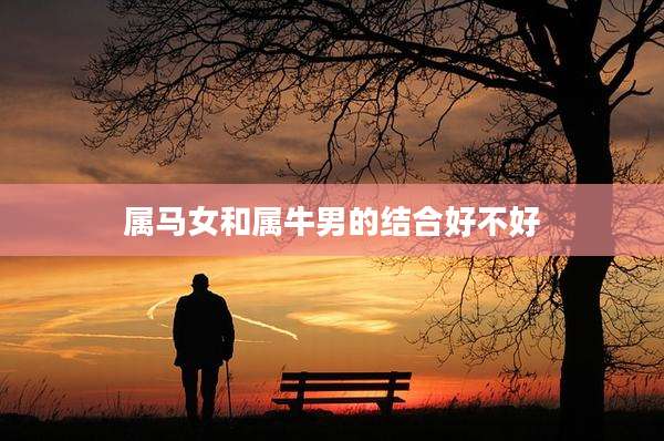 属马女和属牛男的结合好不好