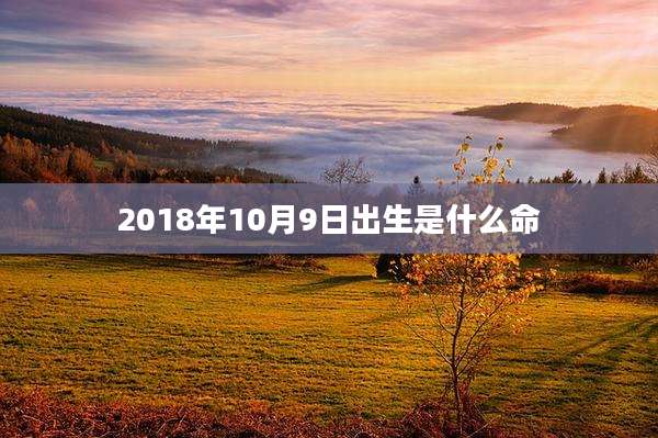 2018年10月9日出生是什么命