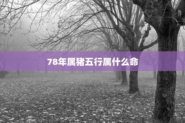 78年属猪五行属什么命
