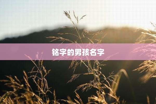 铭字的男孩名字