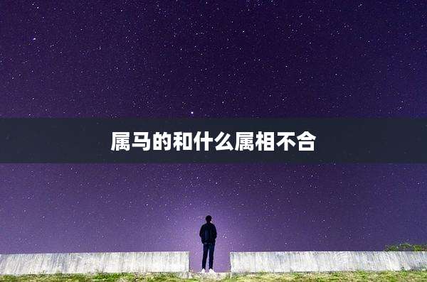 属马的和什么属相不合