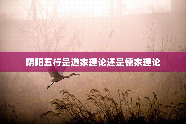 阴阳五行是道家理论还是儒家理论