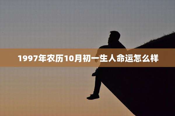 1997年农历10月初一生人命运怎么样