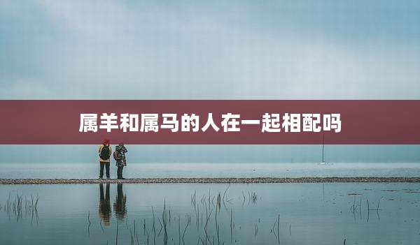 属羊和属马的人在一起相配吗