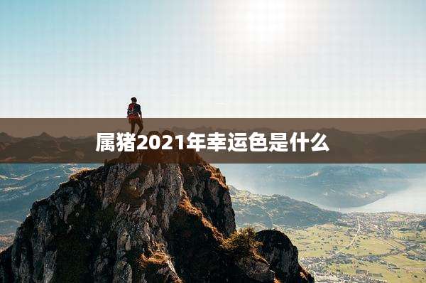 属猪2021年幸运色是什么