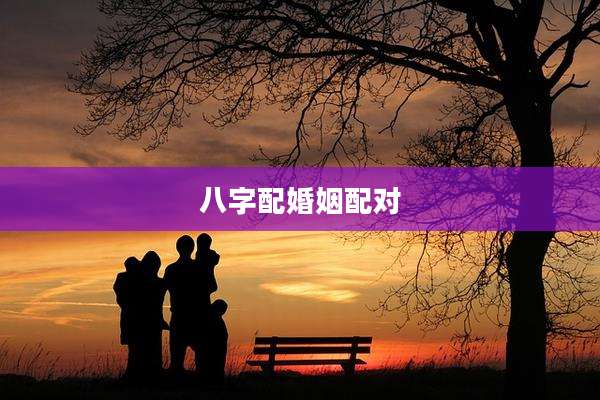 八字配婚姻配对