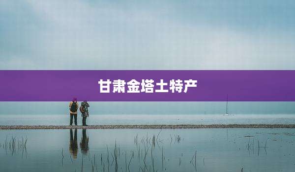 甘肃金塔土特产