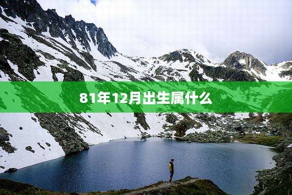 81年12月出生属什么