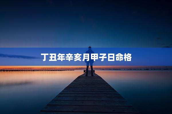 丁丑年辛亥月甲子日命格
