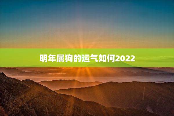 明年属狗的运气如何2022