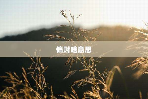 偏财啥意思