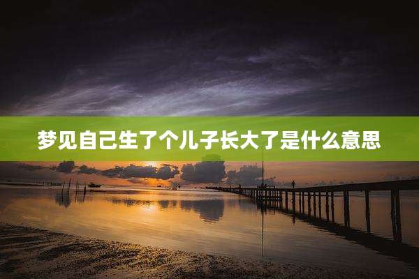 梦见自己生了个儿子长大了是什么意思