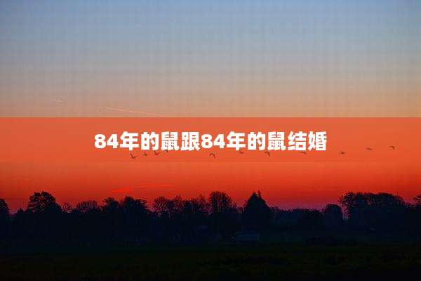 84年的鼠跟84年的鼠结婚