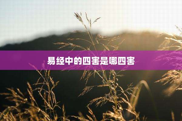 易经中的四害是哪四害