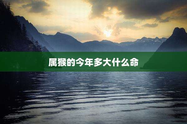 属猴的今年多大什么命