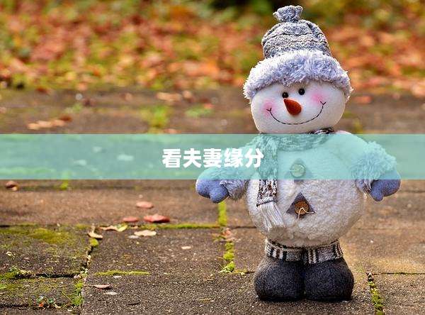看夫妻缘分