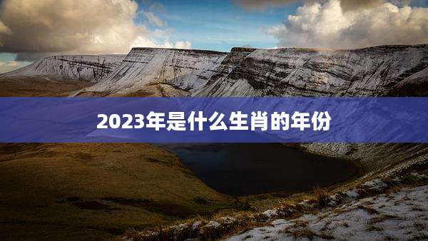 2023年是什么生肖的年份