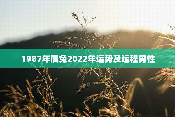 1987年属兔2022年运势及运程男性