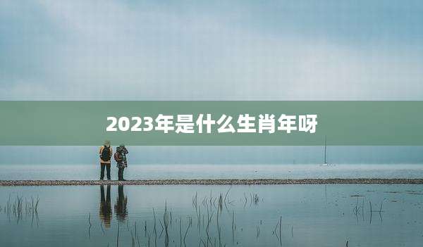2023年是什么生肖年呀