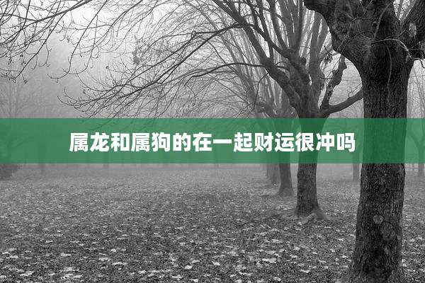 属龙和属狗的在一起财运很冲吗