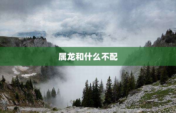 属龙和什么不配