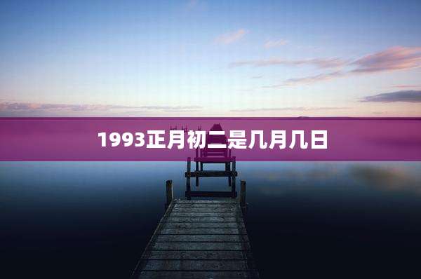 1993正月初二是几月几日
