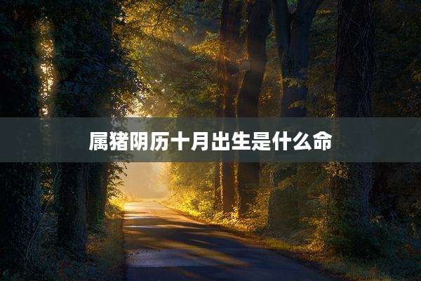 属猪阴历十月出生是什么命
