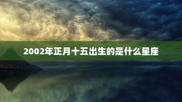 2002年正月十五出生的是什么星座