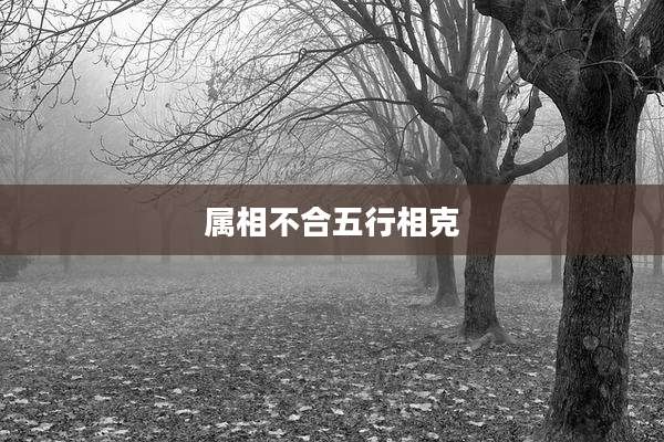 属相不合五行相克