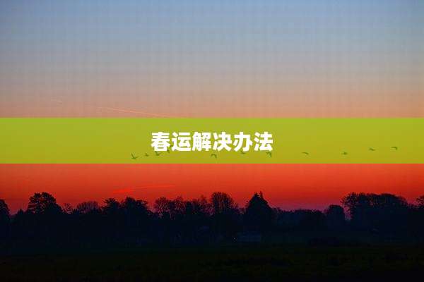 春运解决办法