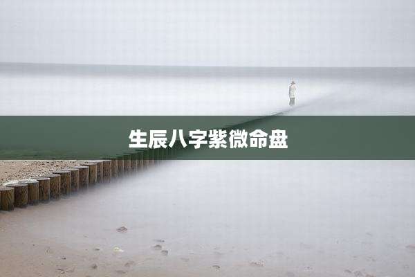 生辰八字紫微命盘