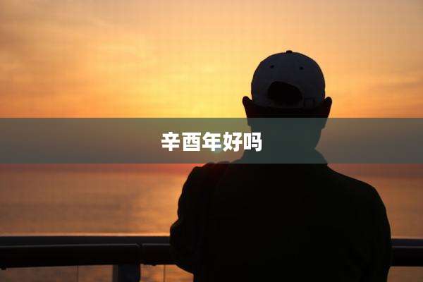 辛酉年好吗