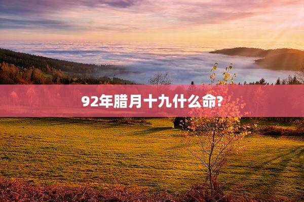 92年腊月十九什么命?