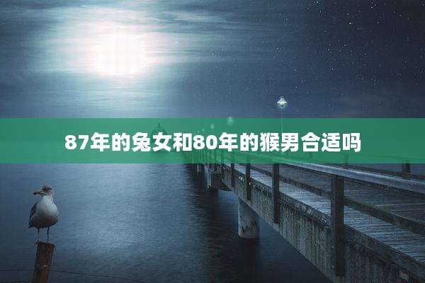 87年的兔女和80年的猴男合适吗
