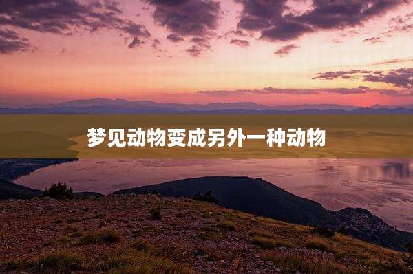 梦见动物变成另外一种动物