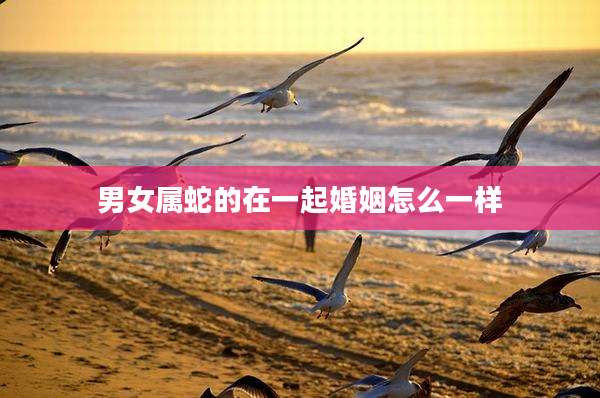 男女属蛇的在一起婚姻怎么一样