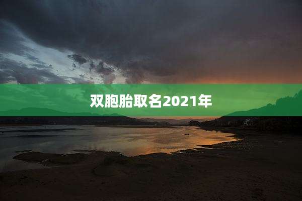 双胞胎取名2021年