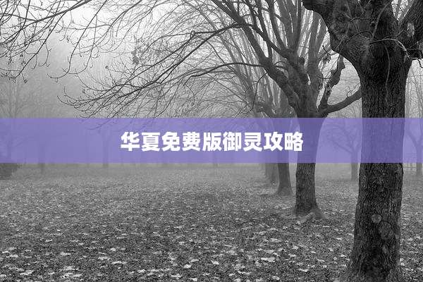 华夏免费版御灵攻略