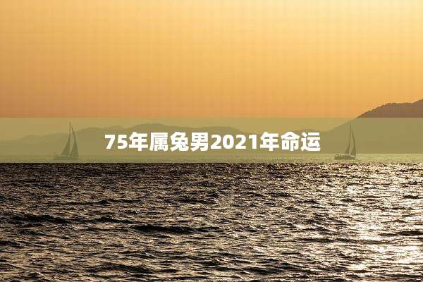 75年属兔男2021年命运