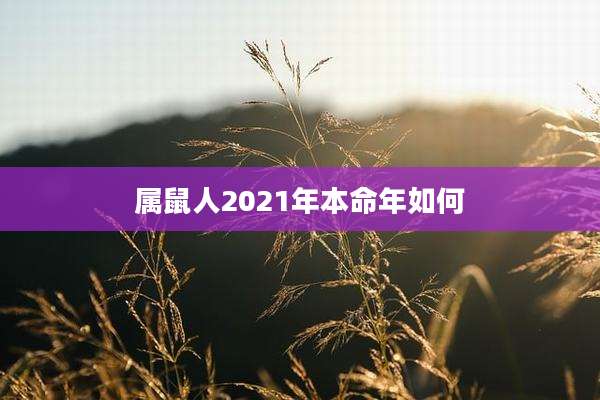 属鼠人2021年本命年如何