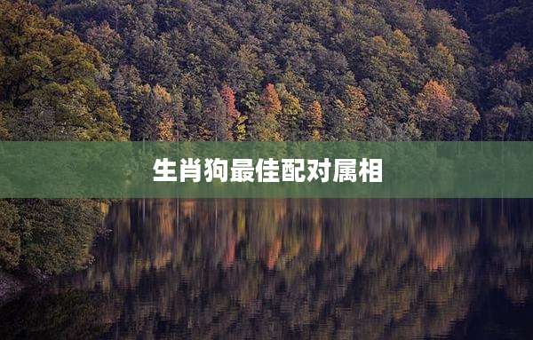 生肖狗最佳配对属相