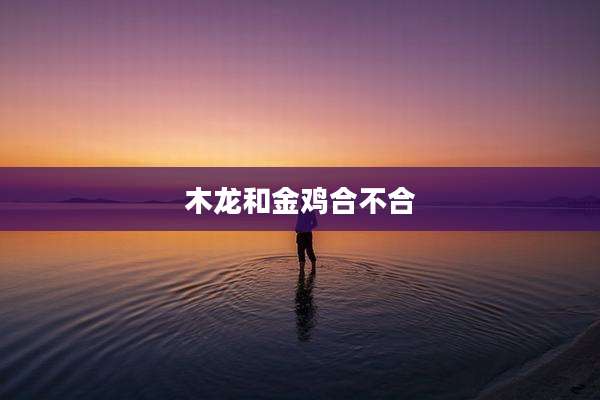木龙和金鸡合不合