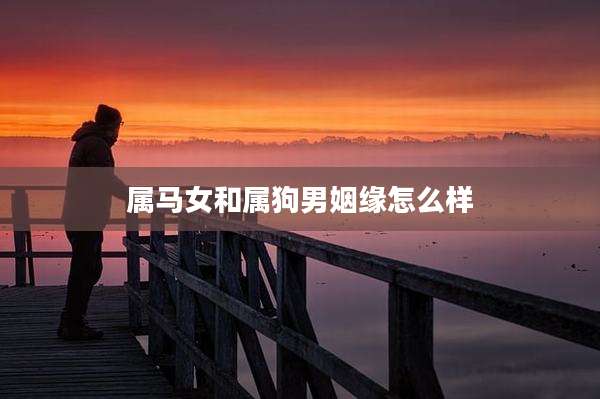 属马女和属狗男姻缘怎么样