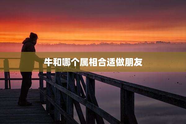 牛和哪个属相合适做朋友