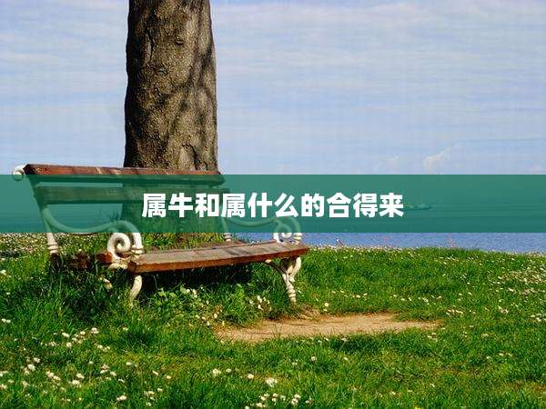 属牛和属什么的合得来