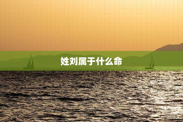 姓刘属于什么命