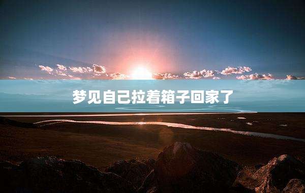 梦见自己拉着箱子回家了
