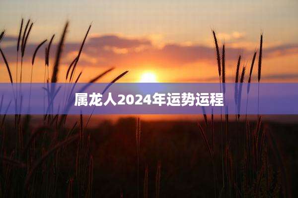 属龙人2024年运势运程